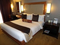 Deluxe Room Hotel Furniture & Equipment - 4