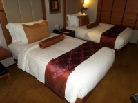 Deluxe Room Hotel Furniture & Equipment - 2