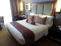 Deluxe Room Hotel Furniture & Equipment - 3