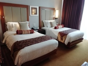 Deluxe Room Hotel Furniture & Equipment