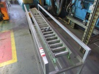 Mobile Roller Conveyor - 3