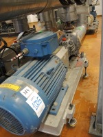 EMF Model EMTECH 32-200 Process Pump System - 2