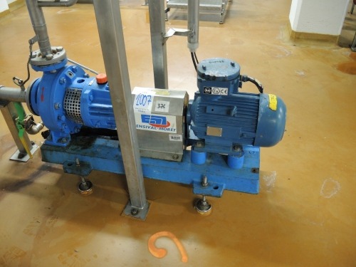 EMF Model EMTECH 32-200 Process Pump