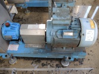 EMF Model EMTECH 50-125K Process Pump