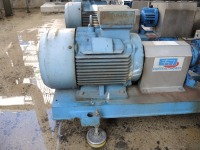 EMF Model EMTECH 50-125K Process Pump - 3