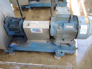 EMF Model EMTECH 100-250E Process Pump